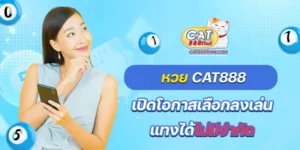 หวย cat 888