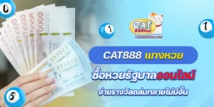 cat888 แทงหวย